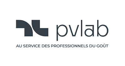 LOGO_PV_LAB_OK